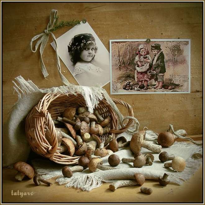 fotos e cesta de cogumelos puzzle online