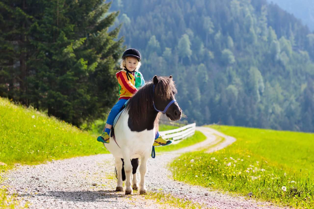 Ragazzino che cavalca un pony nelle Alpi puzzle online