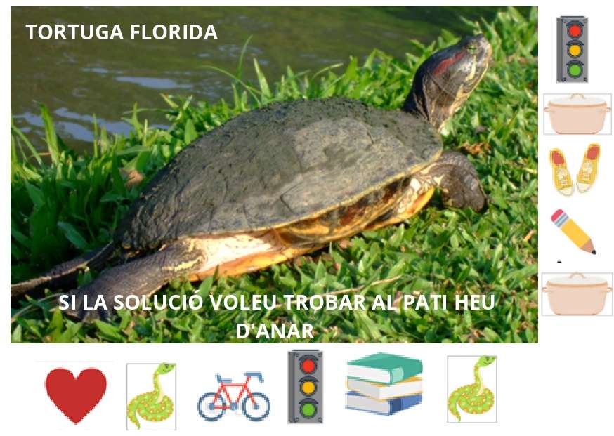 Puzzle di tartaruga fiorita puzzle online