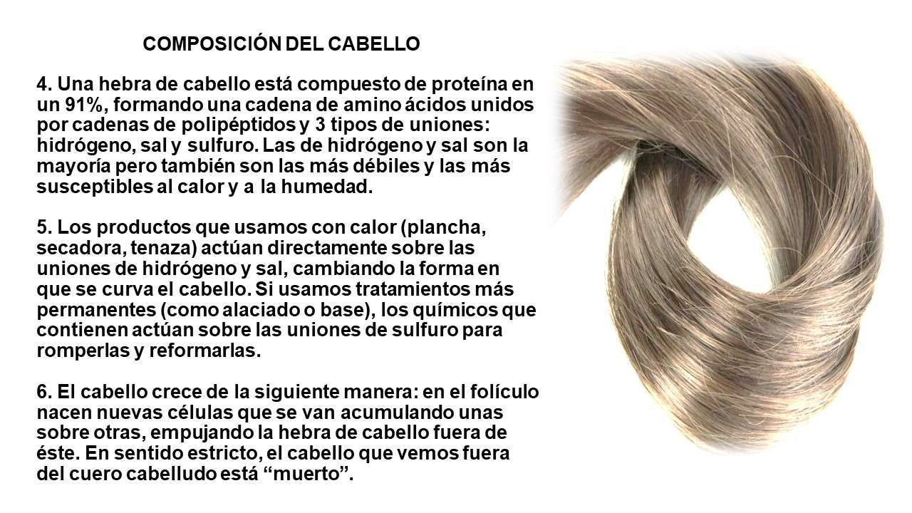 El cabello rompecabezas en línea