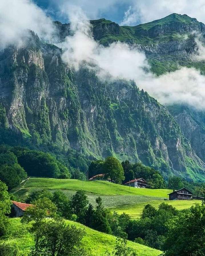 Groen Zwitserland. legpuzzel online