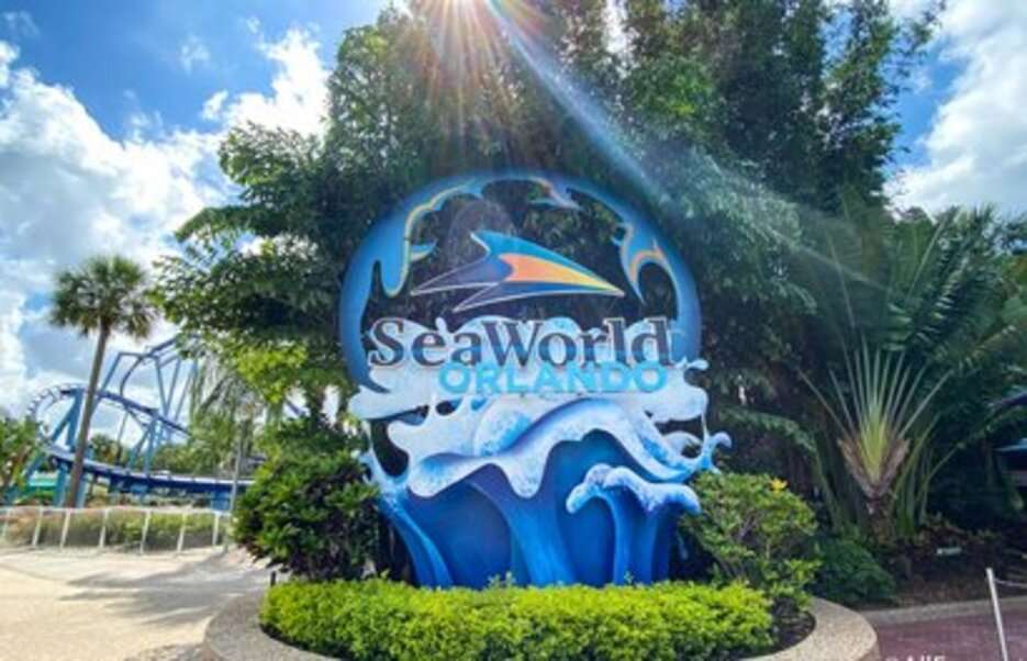SeaWorld Флорида США №1 онлайн пазл
