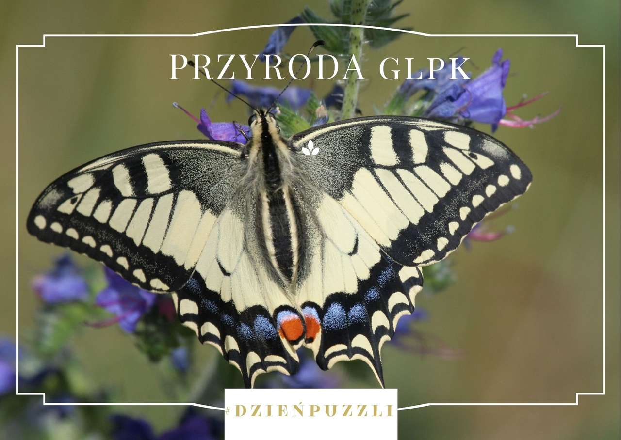 Die Natur des Landschaftsparks Górzno-Lidzbark Online-Puzzle
