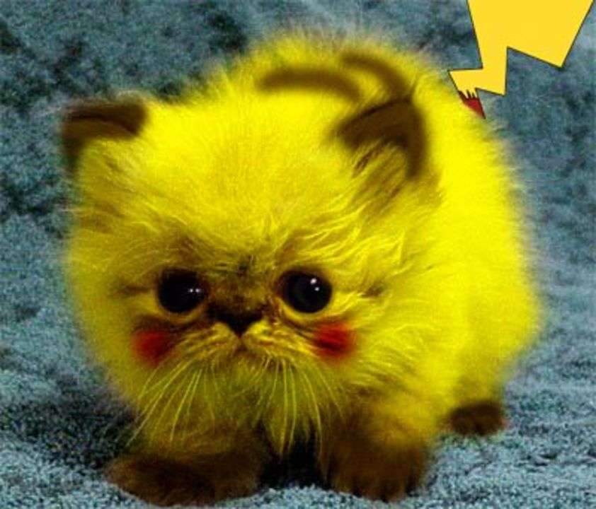 pikachumiaw pussel på nätet
