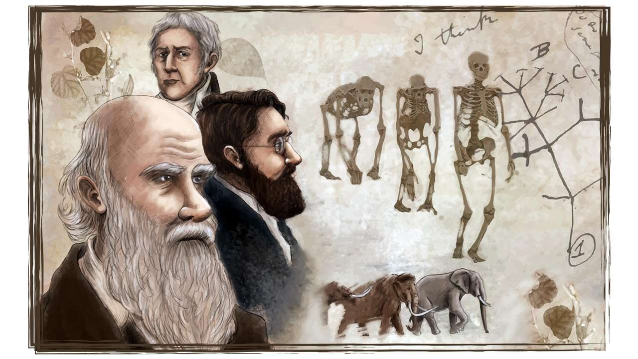 Darwin–Wallace puzzle en ligne