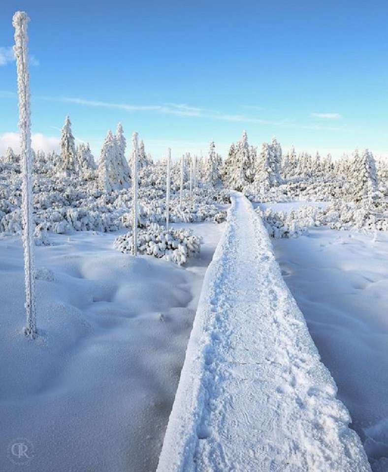 Зима в Гигантските планини. онлайн пъзел