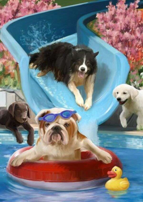 プールで遊ぶ子犬 オンラインパズル