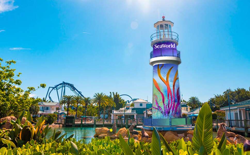 Seaworld Orlando Florida #3 online puzzel