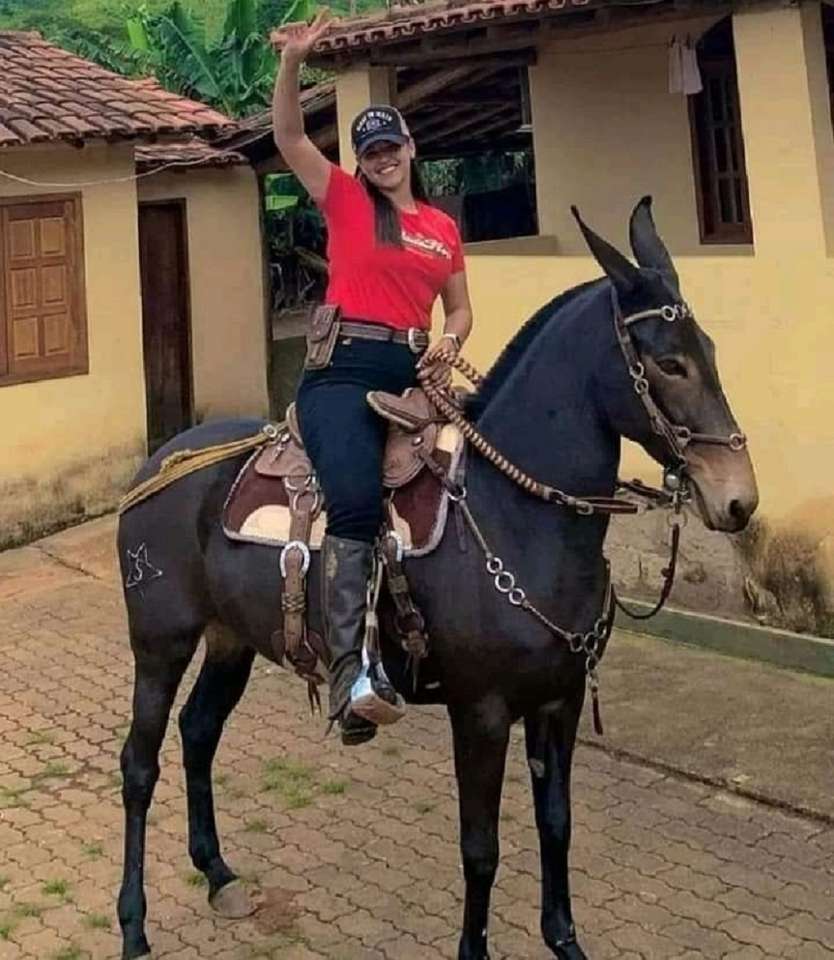 mooi meisje rijdt op een paard online puzzel