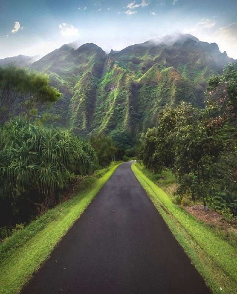 Zelená Havaj. skládačky online