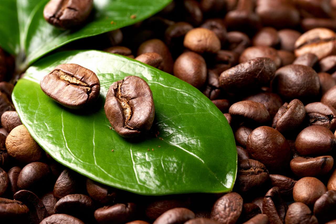 Boabe de cafea cu o frunză verde jigsaw puzzle online
