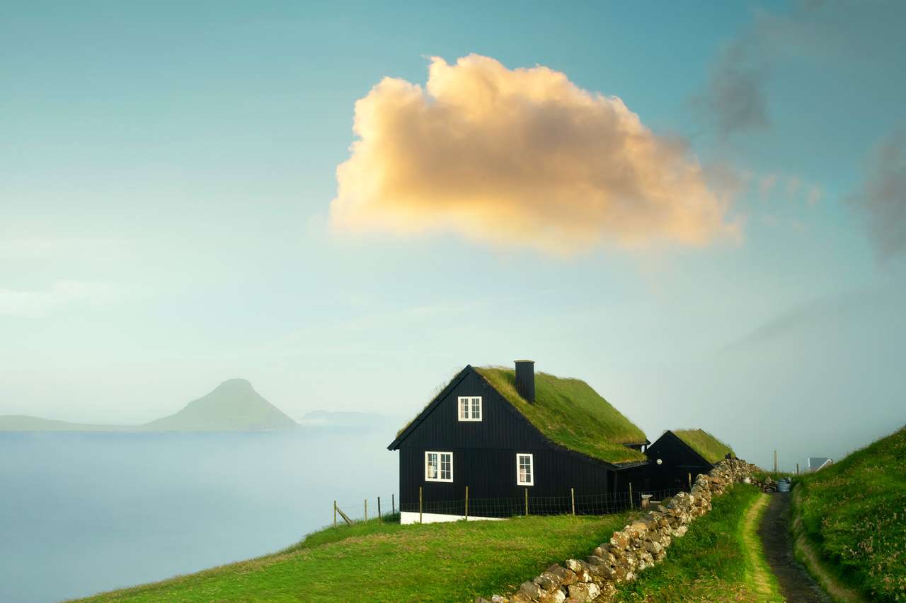 Casa con tetto in erba puzzle online