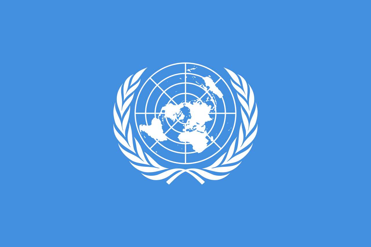 bandera de la ONU rompecabezas en línea