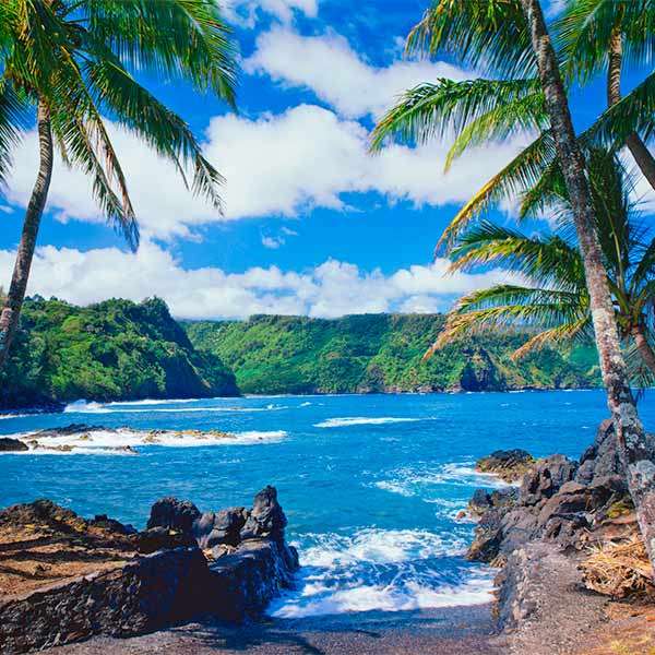 Hawaii americane puzzle online