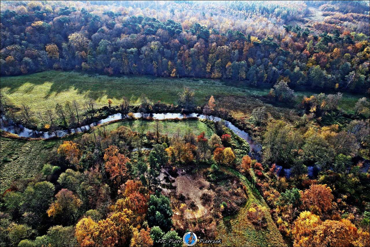 Brudzeński krajinný park - Skrwa Prawa online puzzle