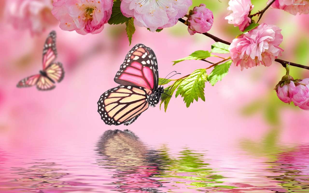 пеперуди върху цветя онлайн пъзел