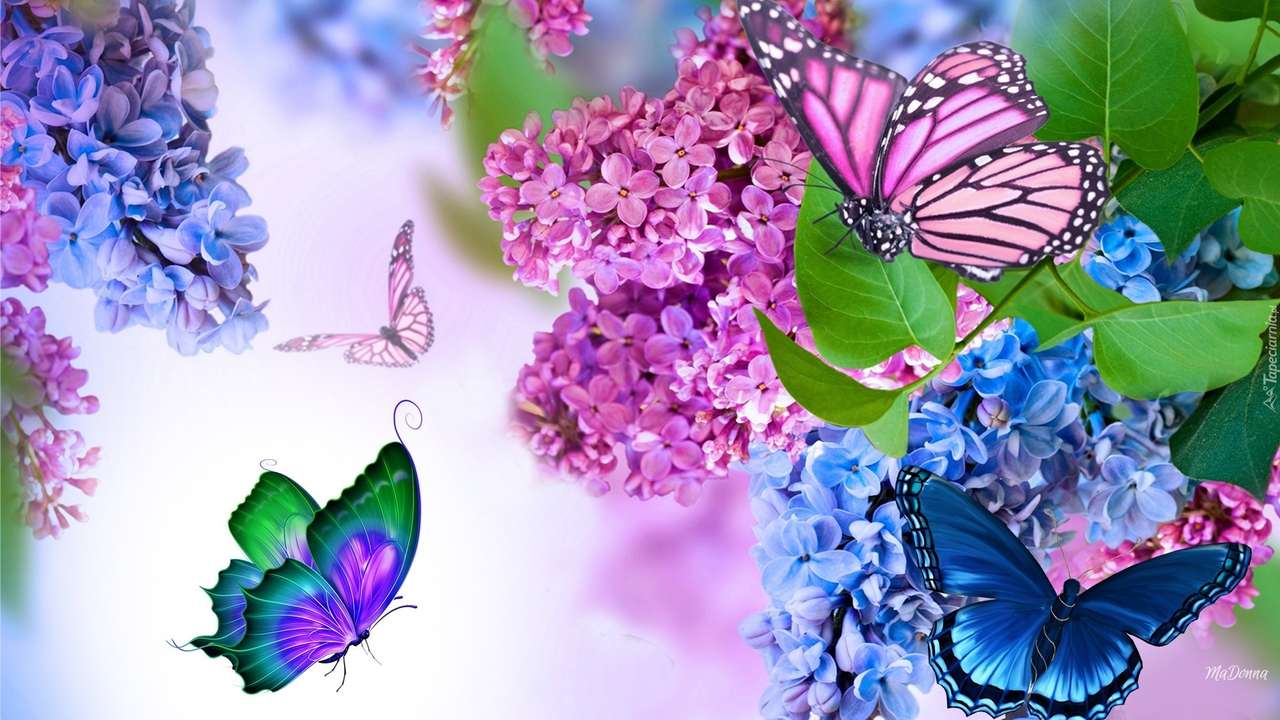 Színes pillangók online puzzle