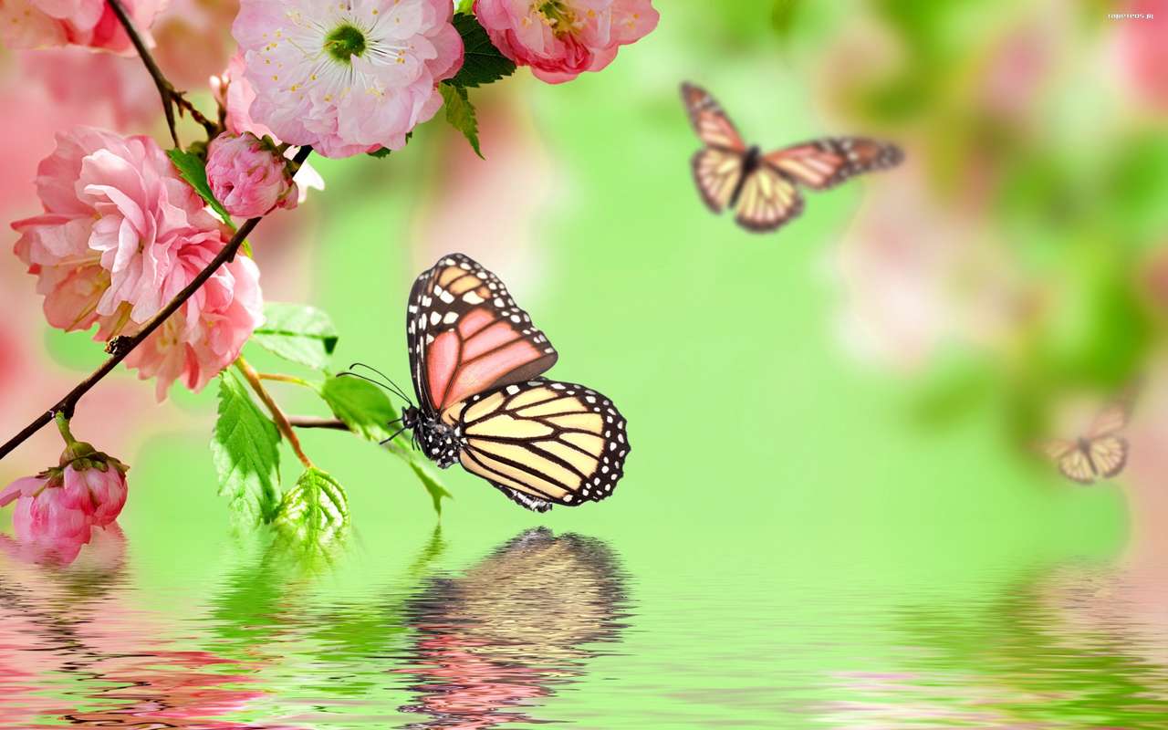 farfalle su bei fiori puzzle online