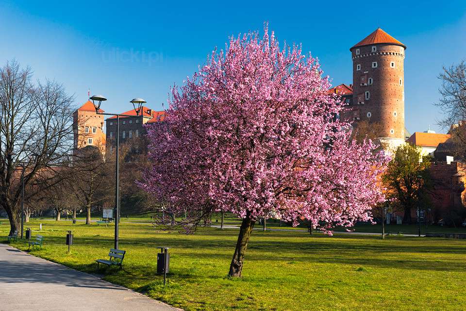 Frühling in Krakau Online-Puzzle