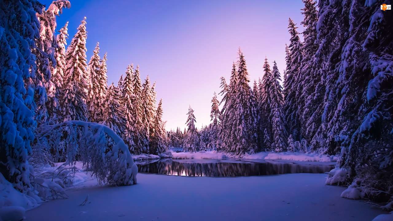 Wald mitten im Winter Online-Puzzle