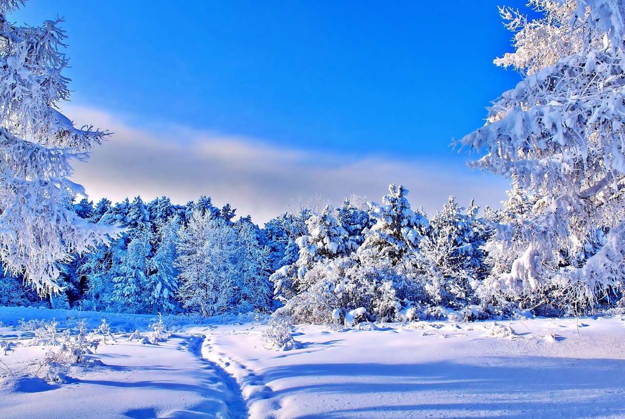 Met sneeuw bedekt bos legpuzzel online