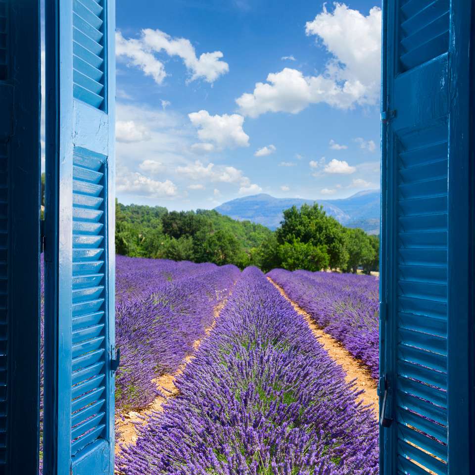 Lavendel durch hölzerne Fensterläden Online-Puzzle