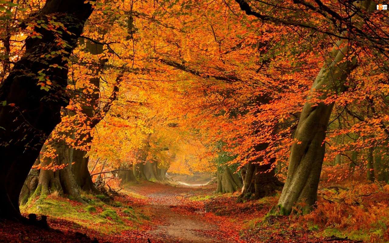 красива осінь пазл онлайн
