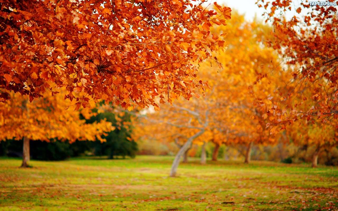 красива осінь онлайн пазл