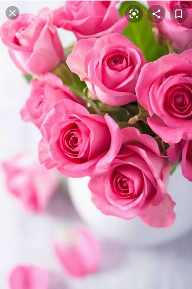 Rosas em uma panela e pétalas de rosa caindo puzzle online
