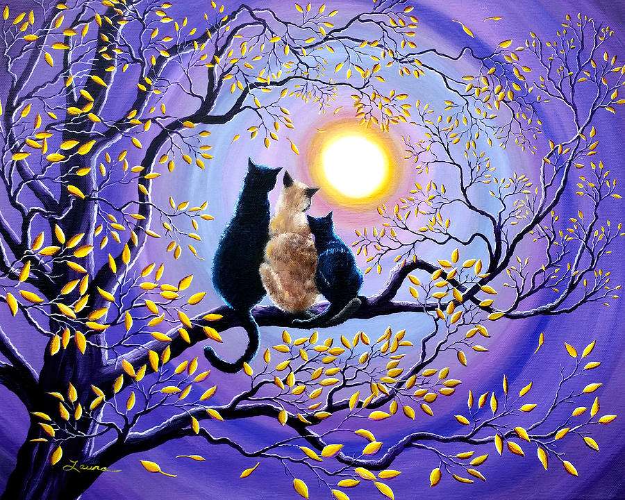 pisici în lumina lunii jigsaw puzzle online