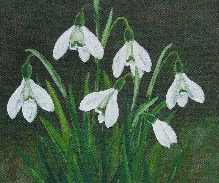 Spring snowdrops jigsaw puzzle online