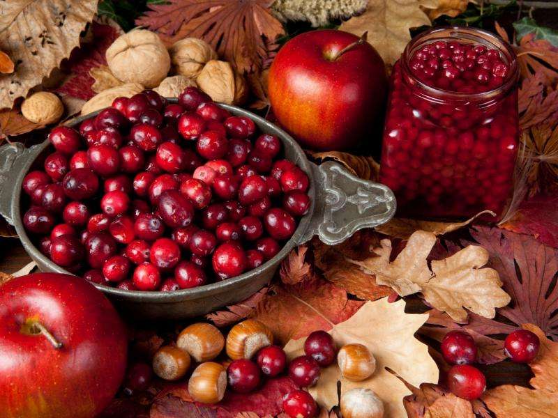 podzimní ovoce skládačky online