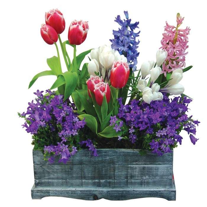 Весняні квіти онлайн пазл