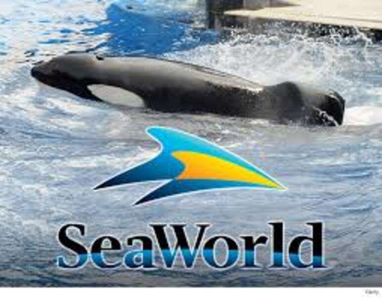 Seaworld Orlando Flórida #6 quebra-cabeças online