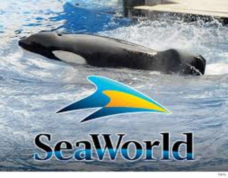 Seaworld Orlando Floride #6 puzzle en ligne