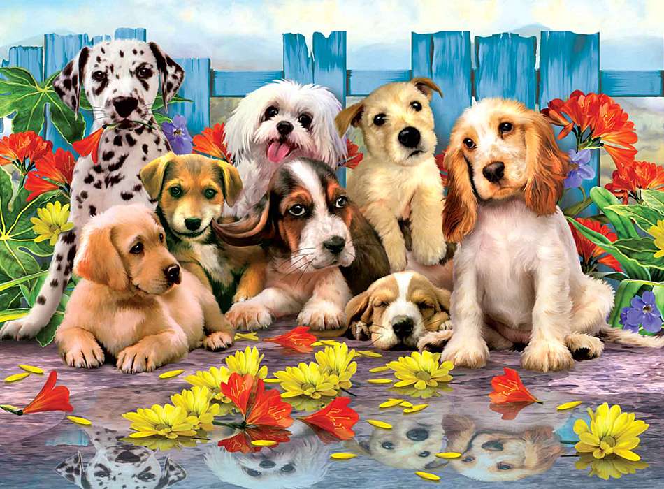 acht puppy's online puzzel