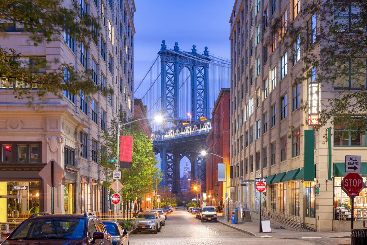 Scena di strada di Brooklyn, New York, Stati Uniti puzzle online