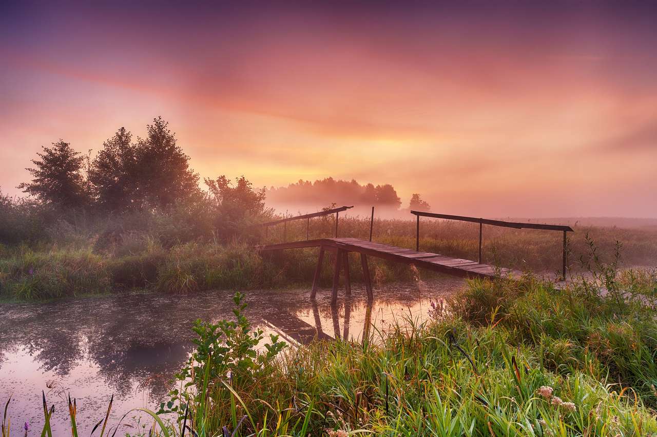 Krásné mlhavé ráno na břehu řeky online puzzle