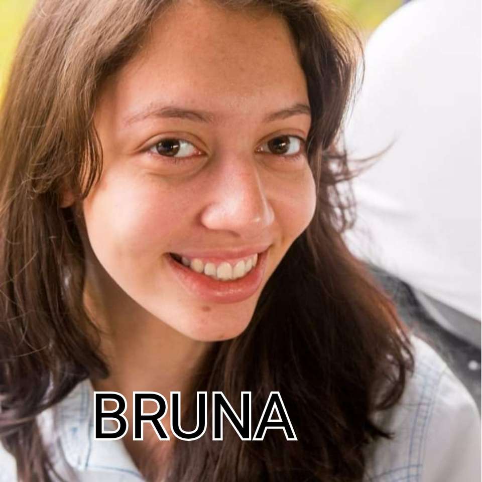 PROFESSOR BRUNA Online-Puzzle