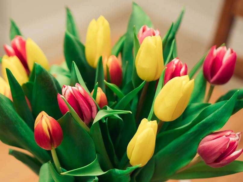 Un ramo de tulipanes coloridos. rompecabezas en línea