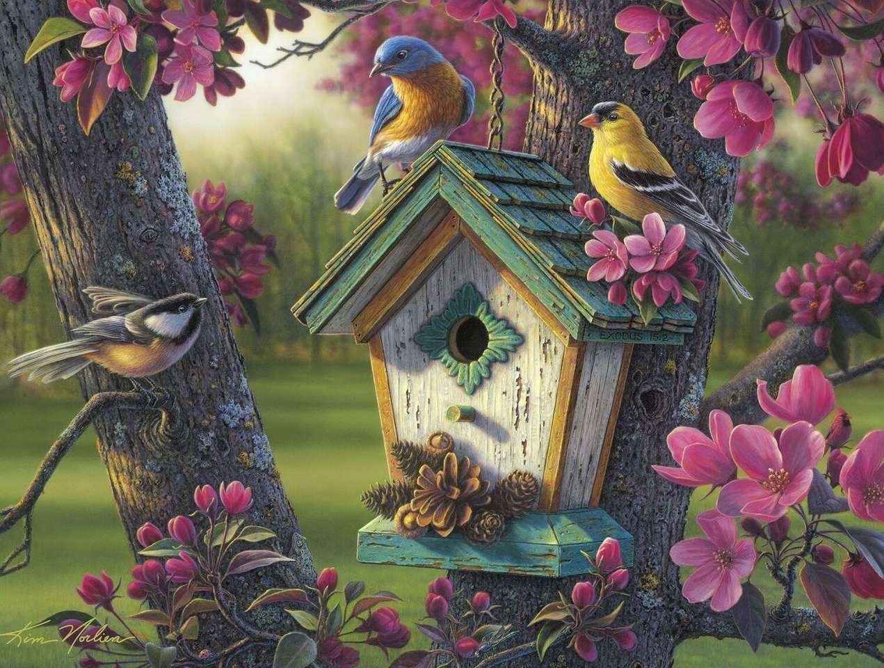 Bird house online puzzle