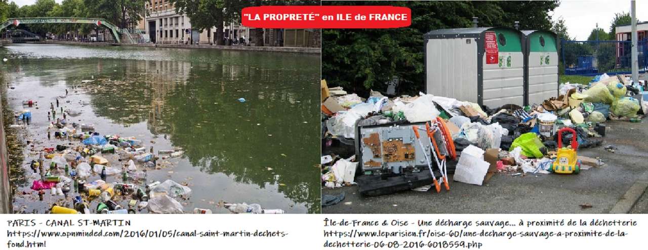 "Reinheid" in Parijs: zeer walgelijke inwoners! online puzzel