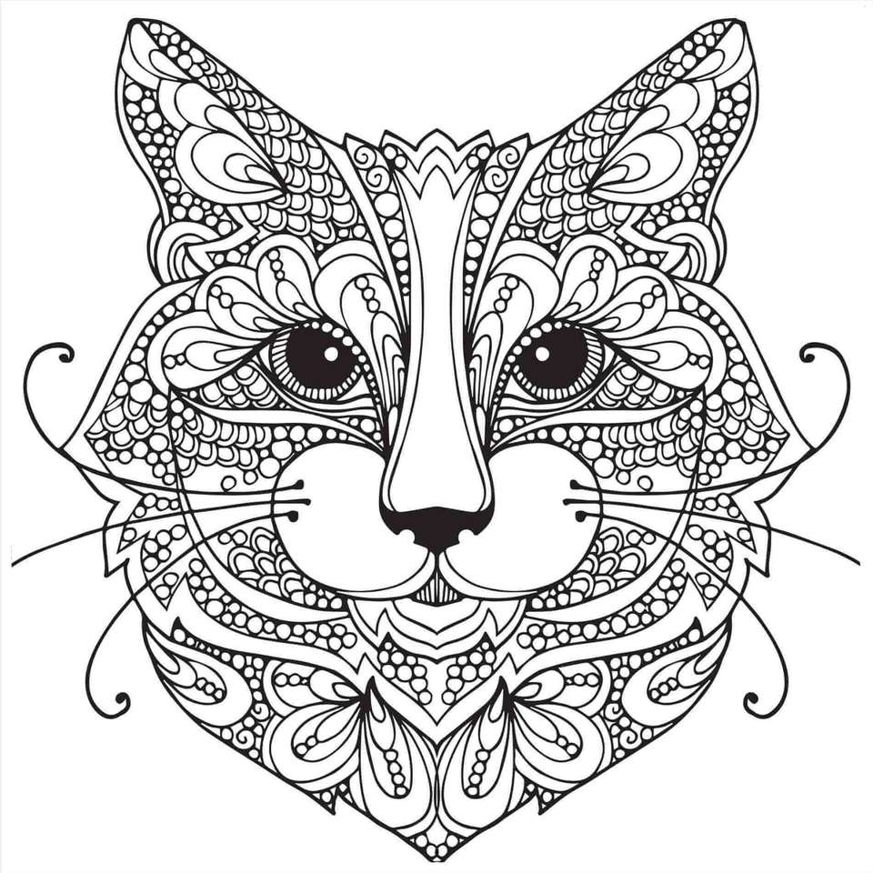 Livro Para Colorir Meu Pet - Gatos