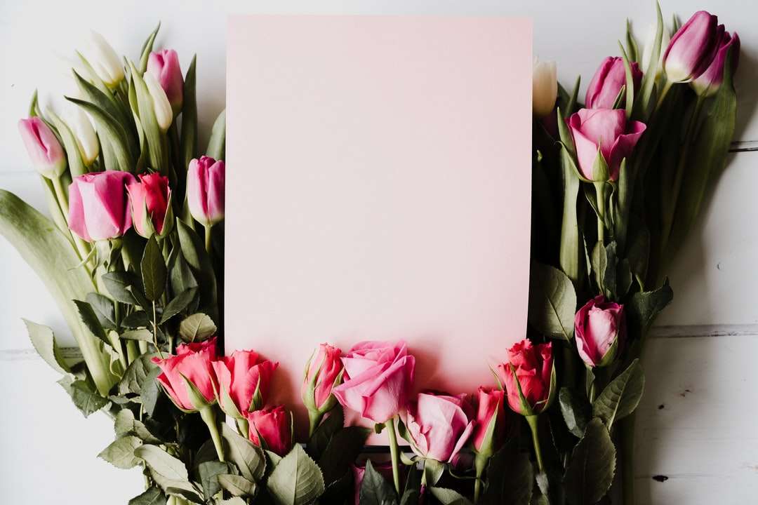 tulipas cor de rosa e brancas em vaso branco puzzle online