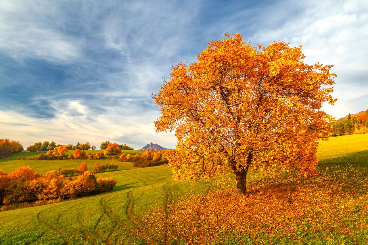 Пейзаж с дървета в есенни цветове онлайн пъзел