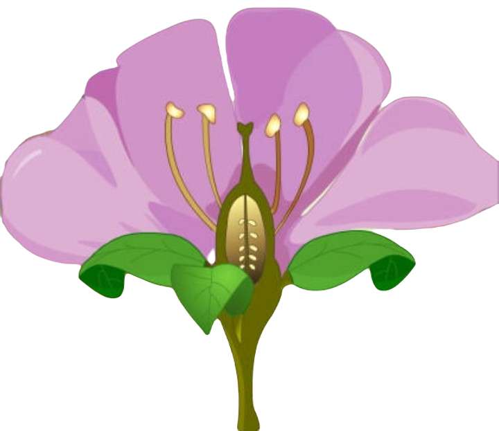 花の部分 ジグソーパズルオンライン