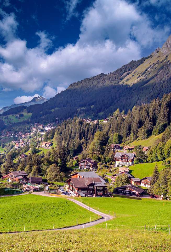 Wengen i schweiziska alperna pussel på nätet
