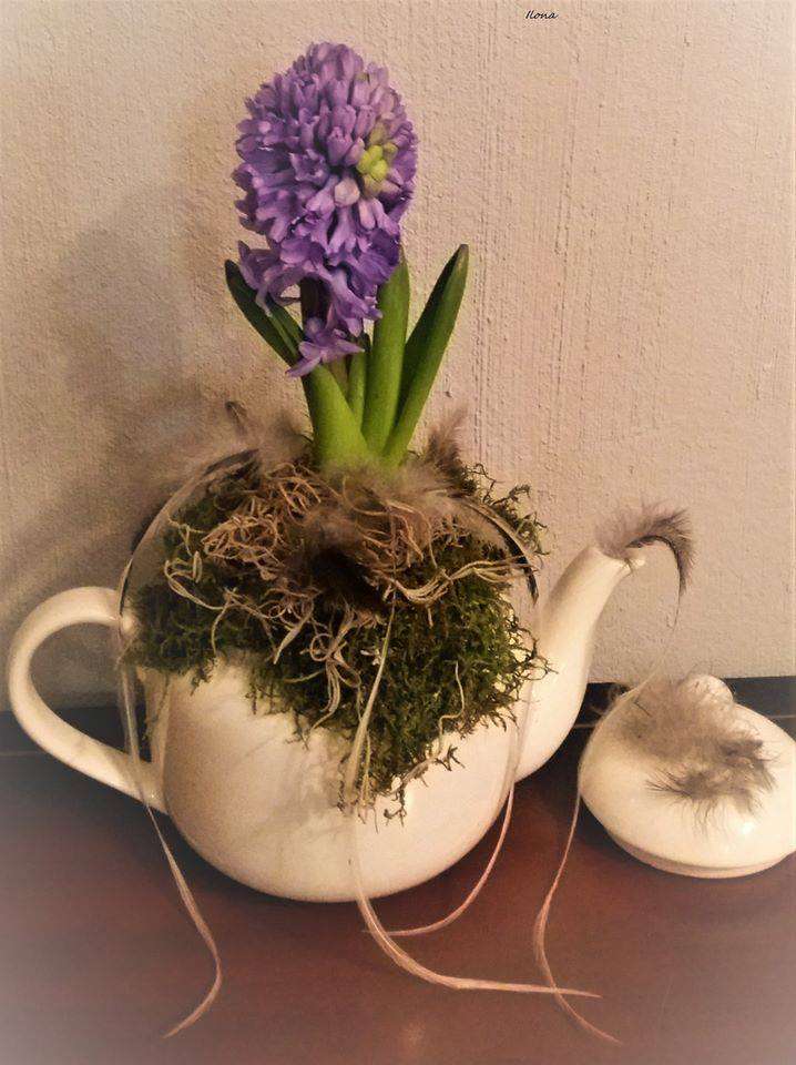 Decorative hyacinth in a jug jigsaw puzzle online