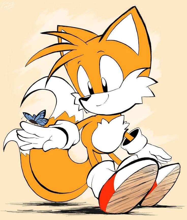 Tails the Two Tailed Fox online puzzel