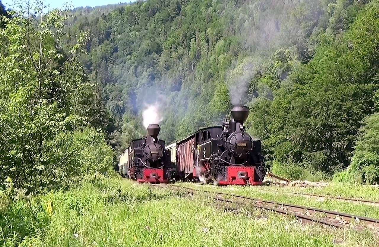 Waldbahn in den Karpaten Bild 3 Puzzlespiel online